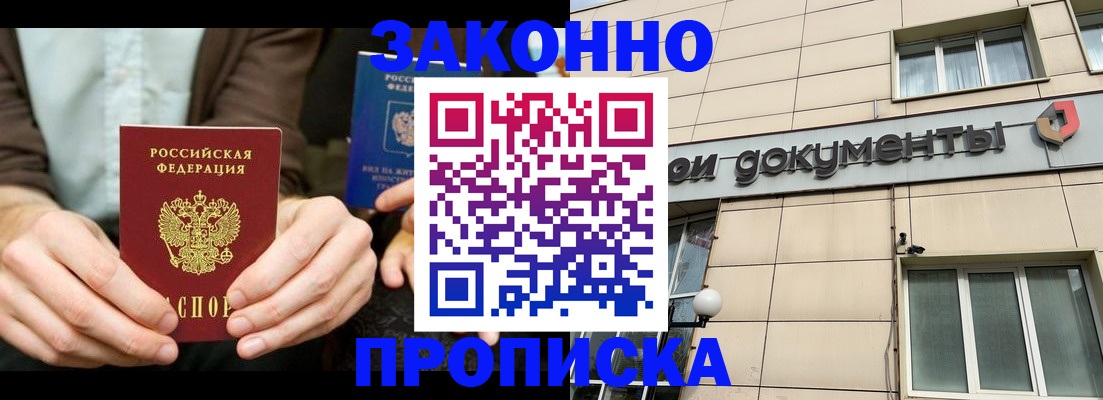 прописка поиск в Коле